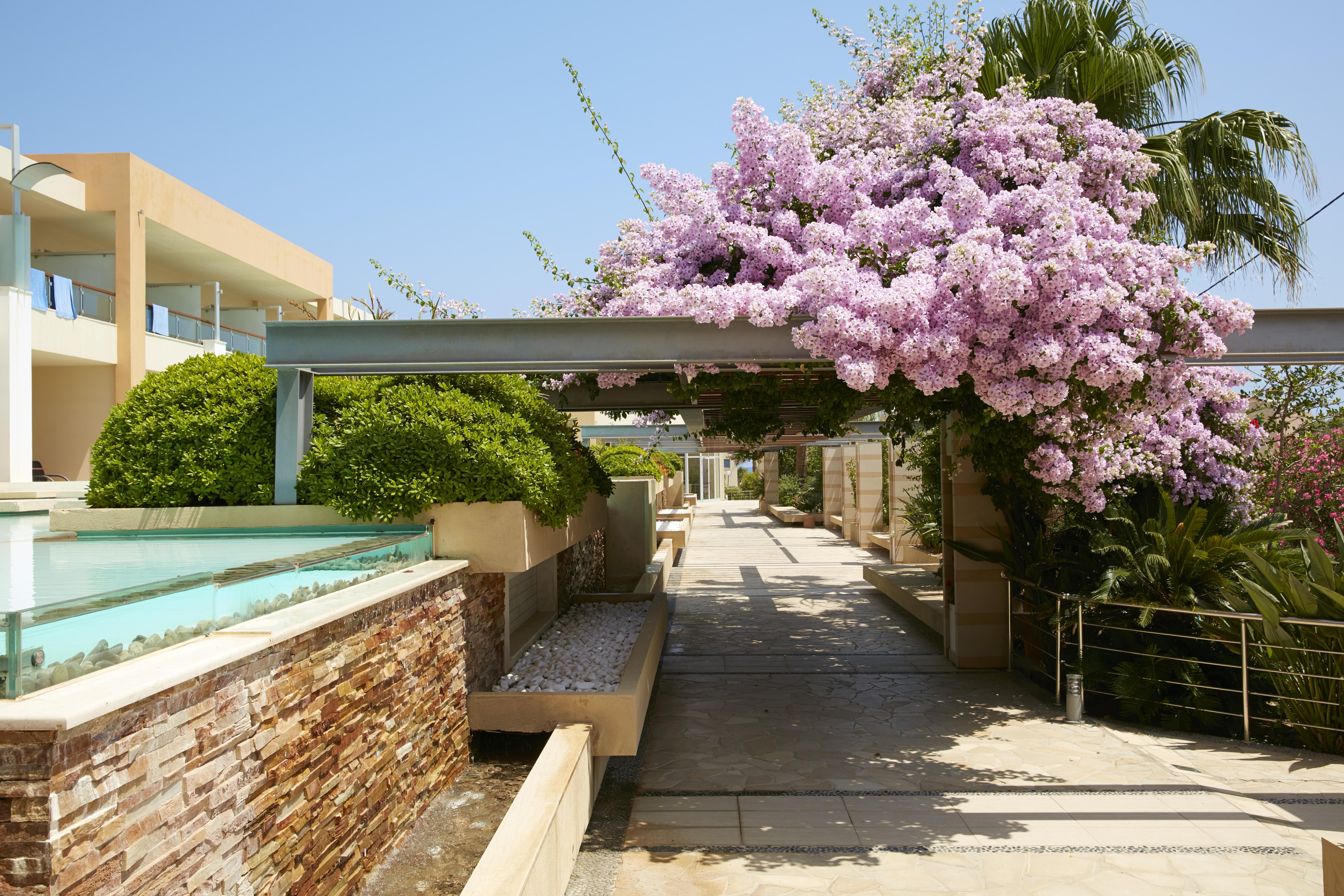 Minoa Palace Resort Platanés Exterior photo